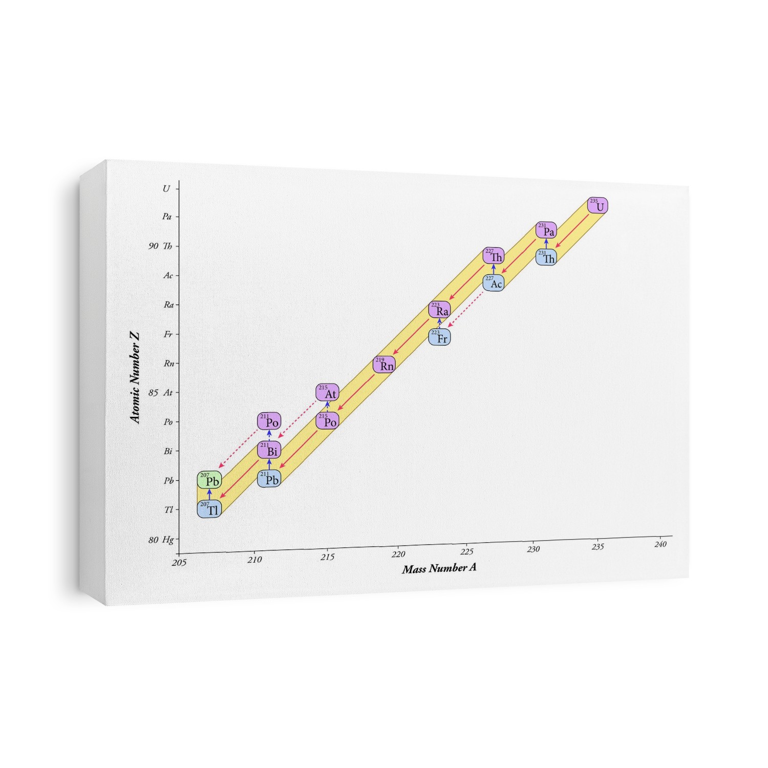 Nuclear decay chain, actinium series. Diagram of the nuclear decay chain of uranium-235 (U-235) with isotopes (shown by chemical symbols) plotted by mass number (A) against atomic number (Z). Isotopes are colour-coded by their primary decay route (purple, red arrows: alpha decay; blue, blue arrows: beta decay). Decays are rare (dotted lines) or dominant (solid lines). The dominant route (yellow) ends with the stable (green) lead-207 (Pb-207). Other elements in this natural decay chain are: protactinium (Pa), thorium (Th), actinium (Ac), radium (Ra), francium (Fr), radon (Rn), astatine (At), polonium (Po), bismuth (Bi), and thallium (Tl).