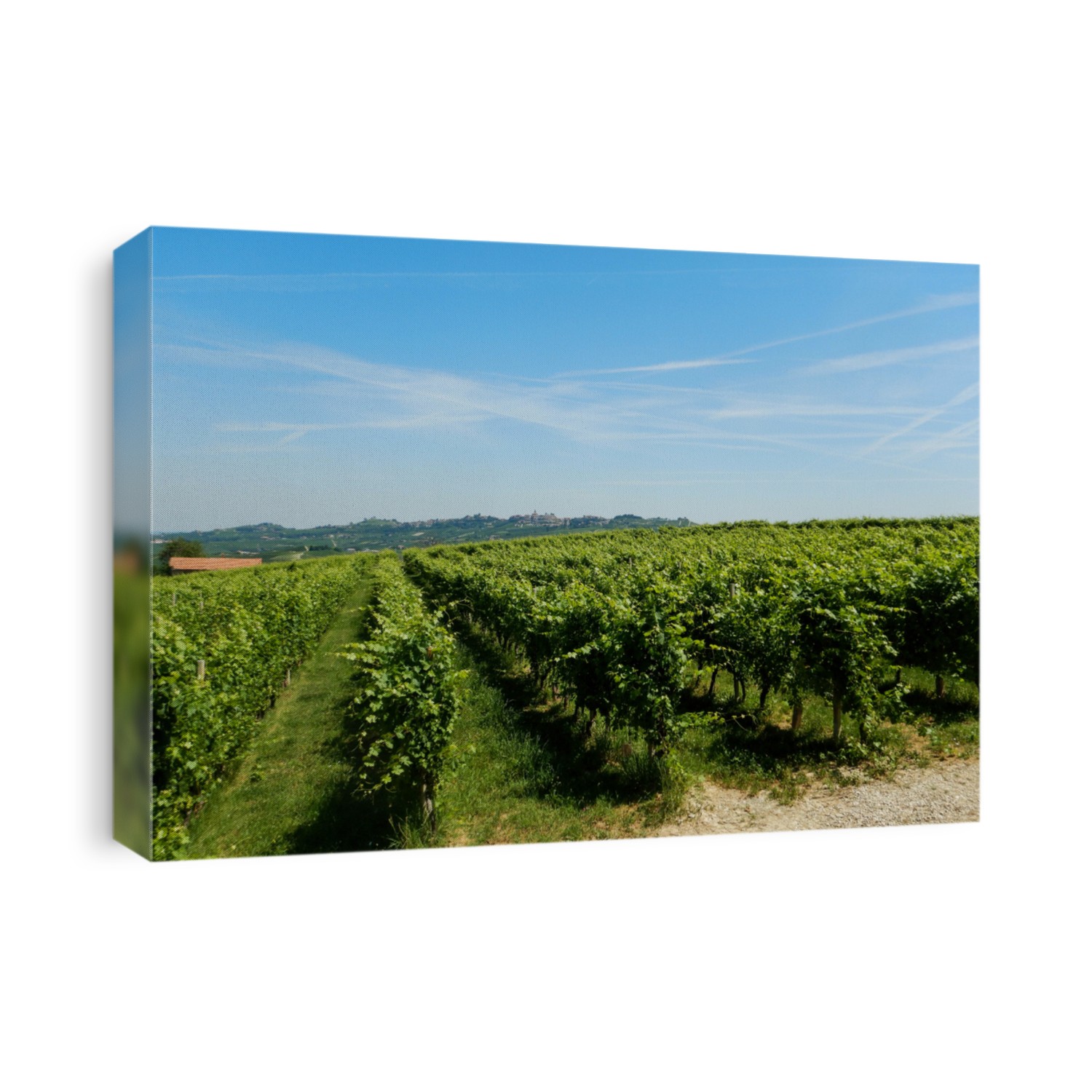 View of the vineyards on the Langhe hills near Serralunga d'Alba, Piedmont - Italy